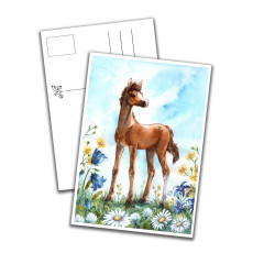 Card - Young Prince Card - Young Prince