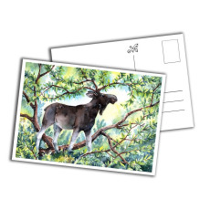 Card - King of the Forest