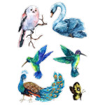 Sticker Set - Birds