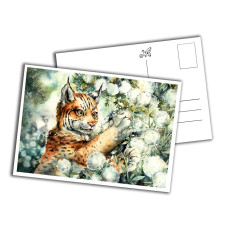 Card - Lynx Cub Card - Lynx Cub