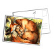 Card - Mother Fox with Pups