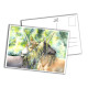 Card - Companionship 