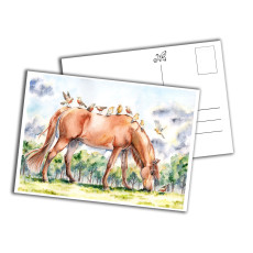 Card - Dinner Company Card - Dinner Company